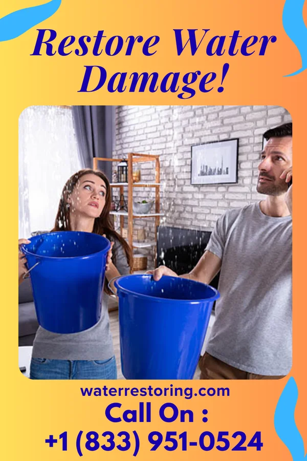 water restoration Zenith Damage Restoration Inc New Carlisle