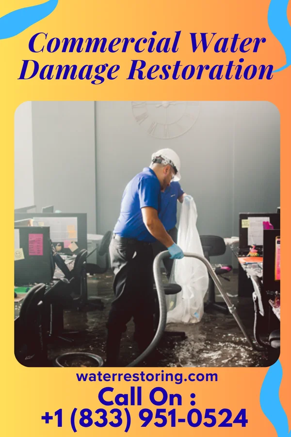 Commercial Water Damage Restoration in New Carlisle, IN