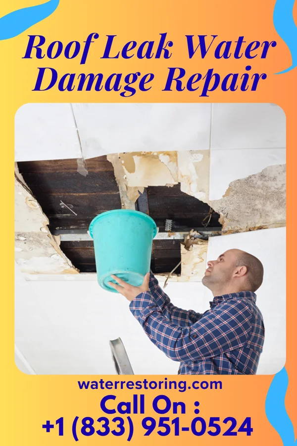 Roof Leak Water Damage Repair in New Carlisle, IN